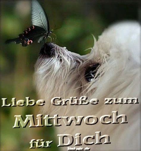 mittwochbilder